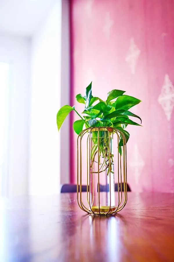 Empiring - Muong Thanh Luxury Apartment Дананг 0*,